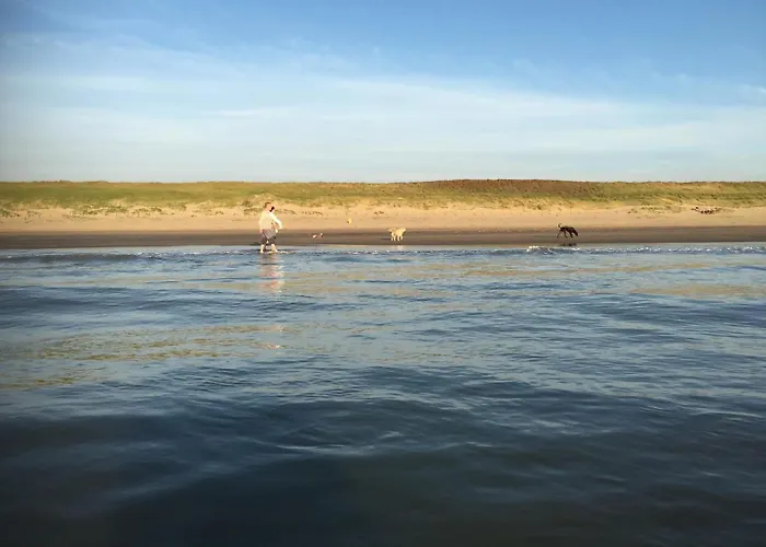 Chalet Dd 58 - De Duindoorn - Airco IJmuiden